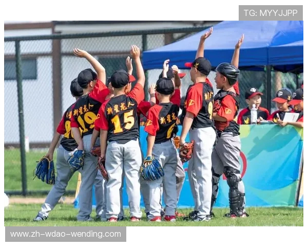 青少年棒球培训的误区与解决方案